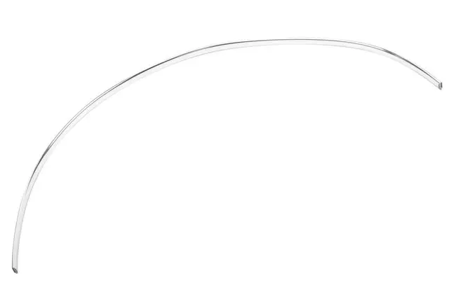 Rear Passenger Side Door Center Molding Insert - GM (10284800)