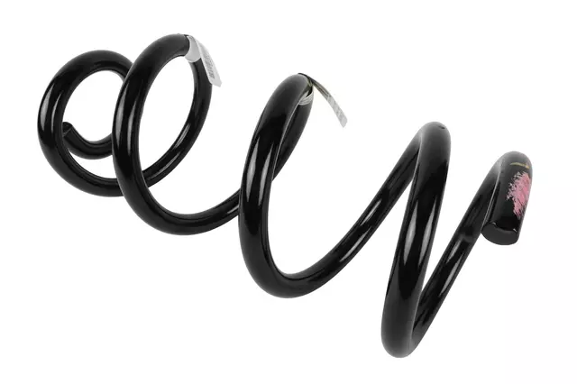 Rear Coil Spring - GM (84675866)