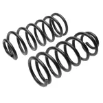 8621 - : Coil Spring Set for Moog Image