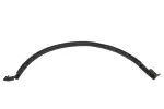 15790979 - Body: Lower Weather-strip for GM Image