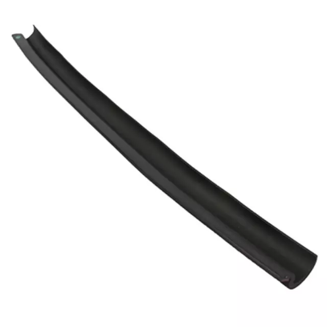 Window Molding - Ford (DT1Z-9929796-H)