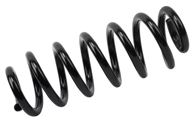 84312880 - : Rear Coil Spring for Buick: Regal Sportback, Regal TourX Image