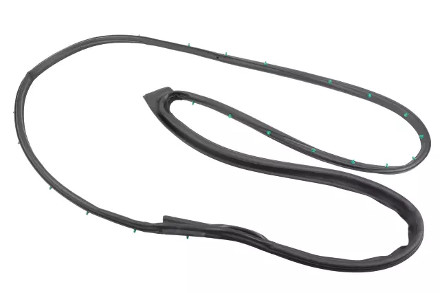 Front Passenger Side Door Weatherstrip - GM (42621016)