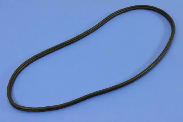 Rear Door Mounted Weatherstrip, Right & Left - Mopar (55399255AE)