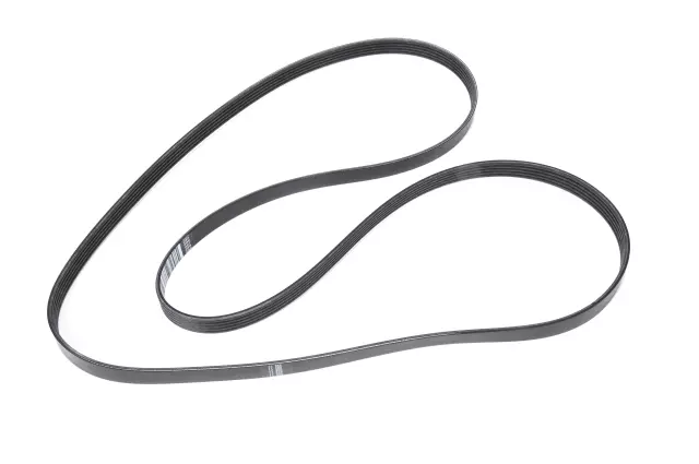 12677093 - : V-Ribbed Serpentine Belt for GM Image