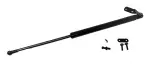 612435 - : Liftgate Lift Support for Tuff Support Image