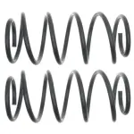 81040 - : Front Coil Spring Set for Moog Image