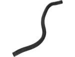 F81Z8075AA - : 1999-2005 Ford - Overflow Hose for Ford: Excursion, F-250 Super Duty, F-350 Super Duty, F-450 Super Duty, F-550 Super Duty Image