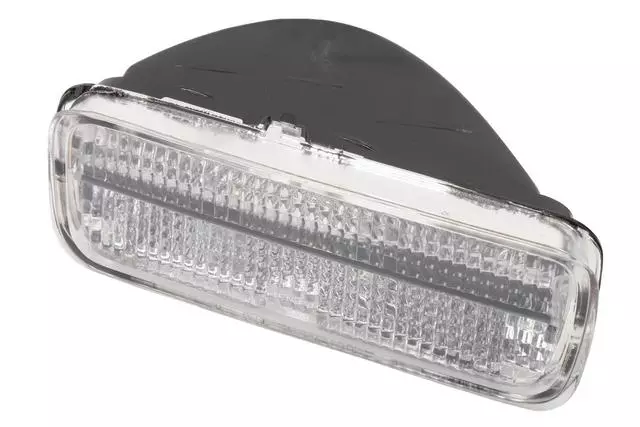 Driver Side Parking and Turn Signal Lamp - GM (05975681)
