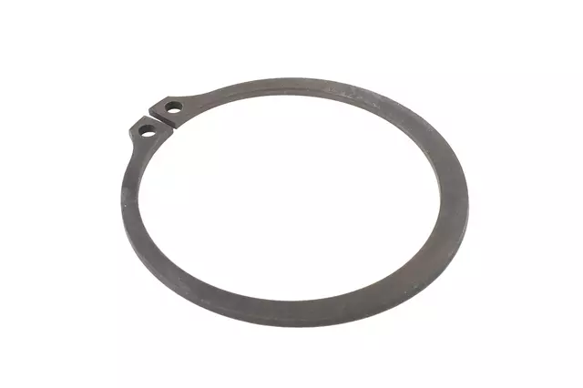 12479060 - : F (S)Ring for GM Image