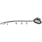 S2537 - Electrical, Lighting and Body: Park and Turn Signal Socket Connector for SMP CORP Image