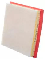 22012113 - : Air Filter for Nissan Image