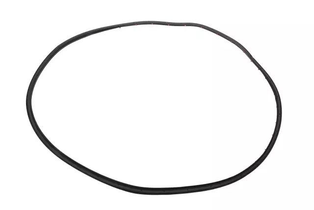 84220314 - Body: Door Weather-strip for Chevrolet: Cruze Image