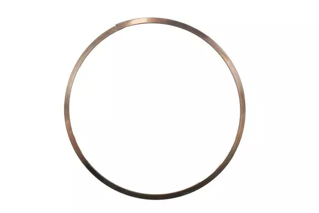 24252792 - : Automatic Transmission Clutch Piston Spring Retainer for ACDelco Image