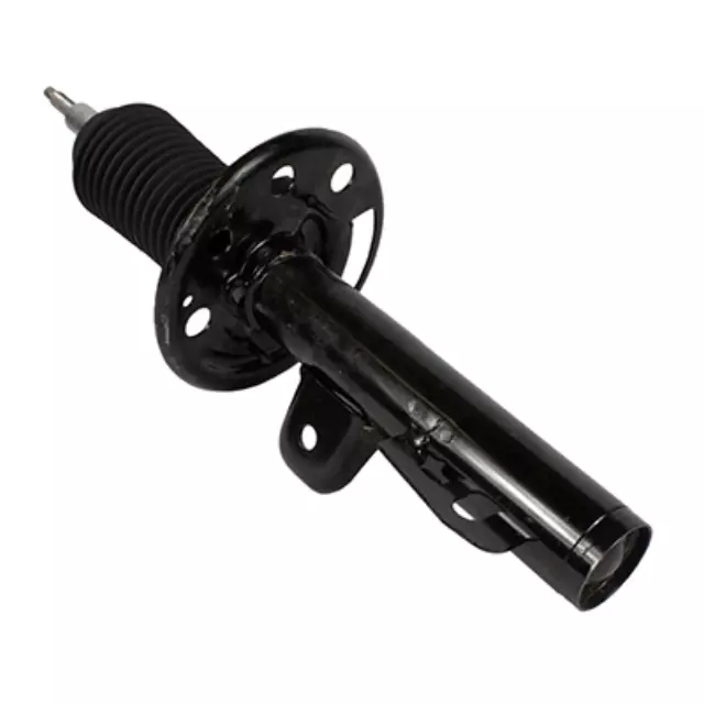 Motorcraft™ Strut - Ford (AST-481)