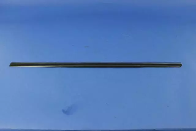 Front Door Molding, Right - Mopar (1DX14TZZAA)