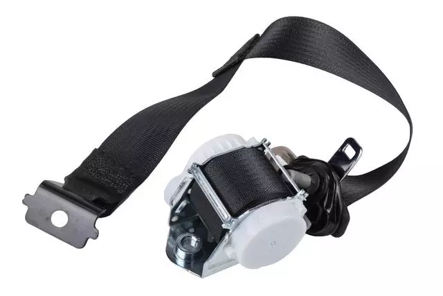 19330742 - Electrical: Outer Belt Assembly for Cadillac: Escalade | Chevrolet: Tahoe | GMC: Yukon Image