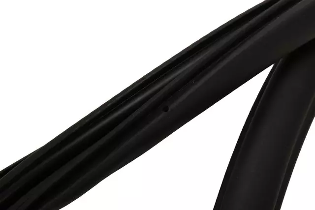 Front Side Door Weatherstrip - GM (84349112)