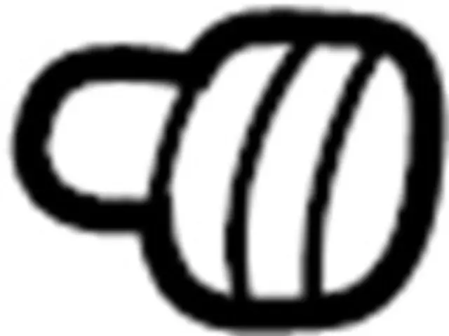 1725179914 - Fuel System: Filler Cap for INFINITI: G20, I30, Q45, QX4 Image