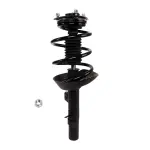 818700 - : PRT 818700 Suspension Strut and Coil Spring Assembly for PRT PERFORMANCE RIDE Image