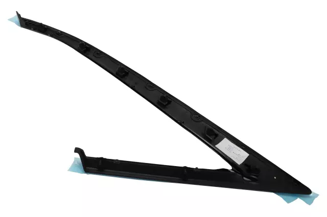 Molding - GM (84376600)