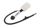 19181818 - : Titanium Driver Seat Belt with Buckle for GM Image