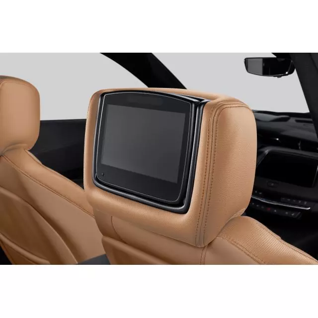 Headrest and Video Screen Assembly - GM (84339940)