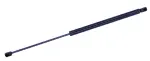 610893 - : Liftgate Lift Support for Tuff Support Image