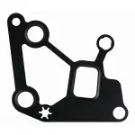 36209 - : Engine Water Pump Gasket for FEL-PRO Image