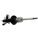 AST85979 - : Motorcraft™ Strut for Ford Image