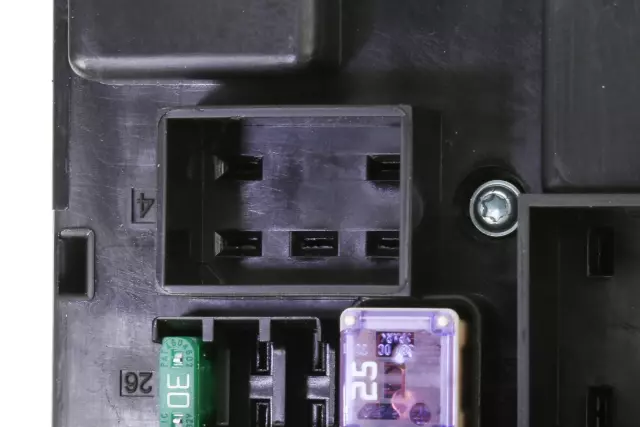 Rear Body Fuse Block - GM (13379016)