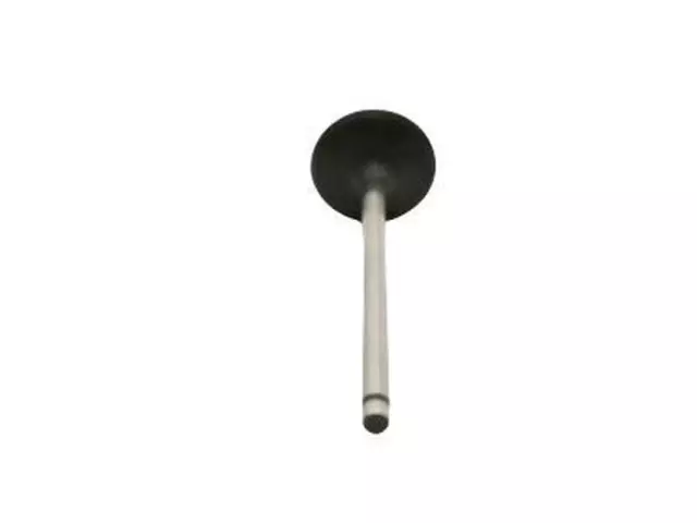Intake Valve - Ford (3S4Z-6507-AA)
