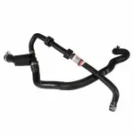 KM5542 - Cooling System: Motorcraftâ„¢ Overflow Hose for Ford: Focus Image