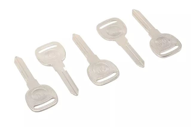 12450903 - : Key for GM Image