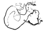 84627029 - : Chassis Wiring Harness for GM Image