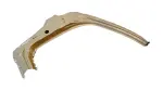 611320R010 - Body: Hinge Pillar for Toyota Image