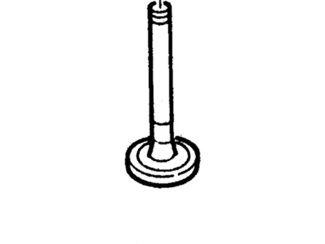 F4TZ6505C - Engine: Valves for Ford: E-350 Club Wagon, E-350 Econoline, E-350 Econoline Club Wagon, E-350 Super Duty, E-450 Econoline Super Duty, E-450 Super Duty, E-550 Econoline Super Duty, E-550 Super Duty, Excursion, F-250, F-250 HD, F-250 Super Duty, F-350, F-350 Super Duty, F-450 Super Duty, F-550 Super Duty Image