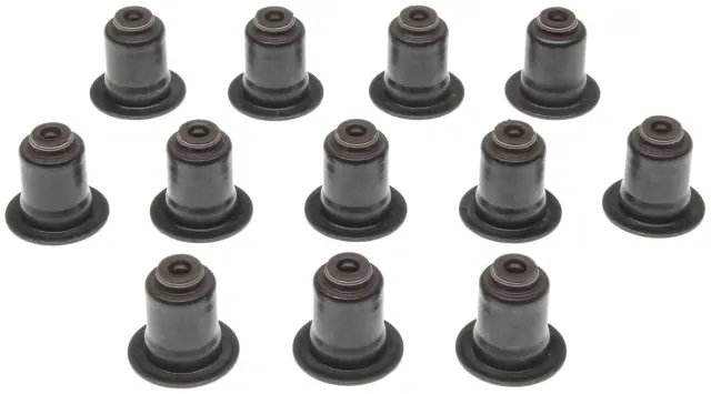 SS46007 - Gaskets: Engine Valve Stem Oil Seal Set for Mahle Image