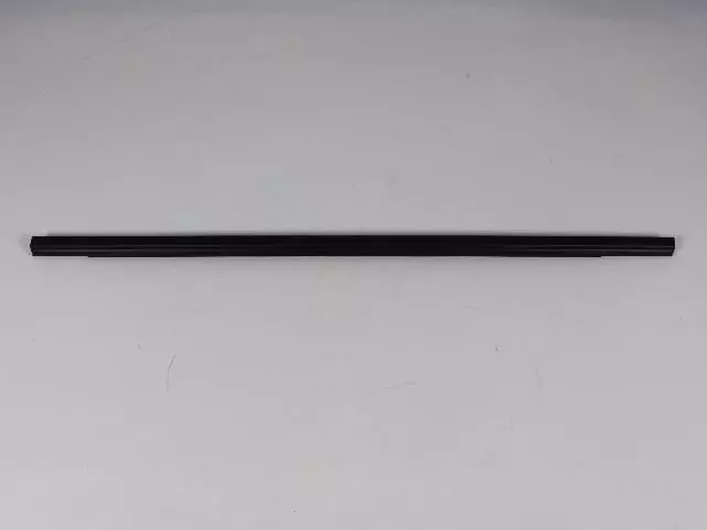 Front Door Belt Weatherstrip, Left - Mopar (05109807AE)