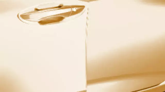 8P20TGV2A0A - : Guard Dr *YR651P* for Acura Image