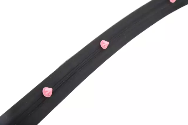 22973971 - : Front Passenger Side Door Weatherstrip Door Side for Buick: LaCrosse Image