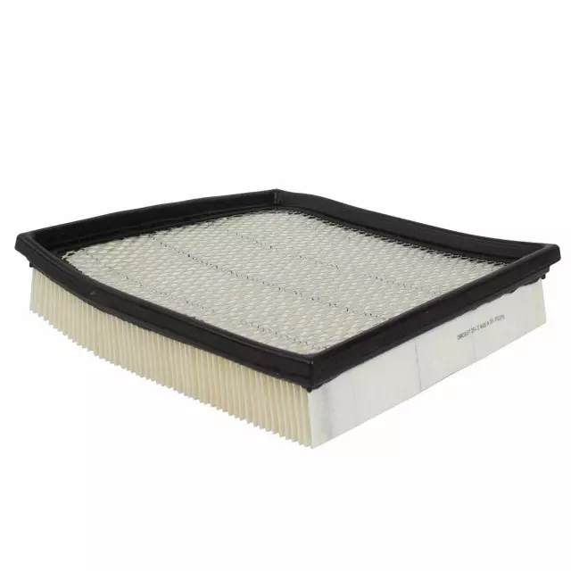 Element Assembly Air Cleaner - Ford (QFA72)