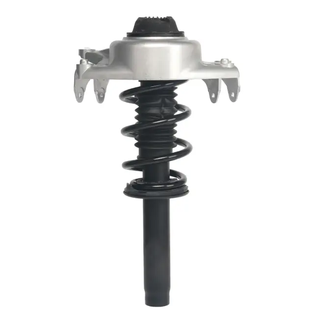 173109L - Suspension &amp; Steering: Suspension Strut and Coil Spring Assembly for MONROE SHOCKS &amp; STRUTS Image