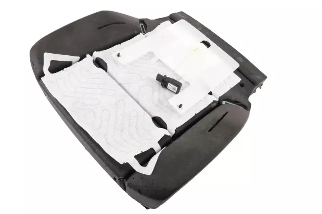 Airbag Front Passenger Presence Module with Sensor - GM (84960653)