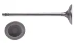 IM4484 - : Engine Intake Valve for Enginetech Image