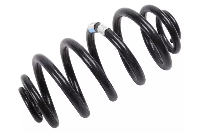 22779574 - Suspension: Coil Spring for Buick: Regal Image