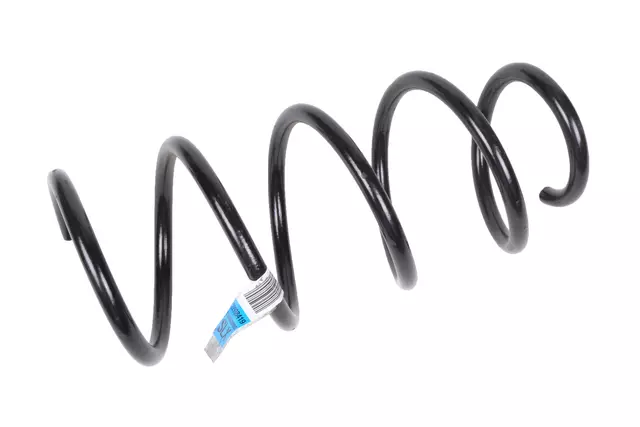 Front Coil Spring - GM (22938419)