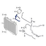 GN1Z8C289C - : Reservoir Hose for Ford Image