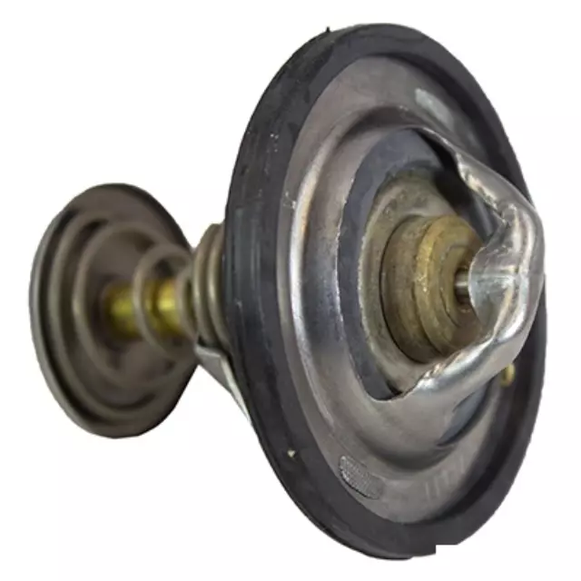 Engine Coolant Thermostat - Ford (F6TZ-8575-EA)