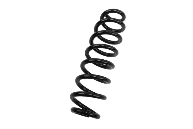 Rear Coil Spring - GM (84312878)